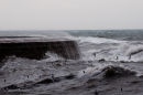 Winter storm-03313