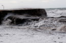 Winter storm-03356