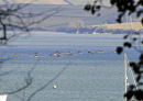 2424 Three Rivers 2010