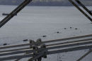 2474 Three Rivers 2010