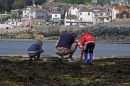  PW04907Rock pooling