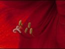 Amaryllis by Gordon Blount