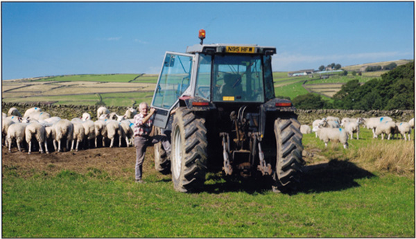 3rd Place: Feeding Time at Mr Gills Farm.
Author - Les Heywood