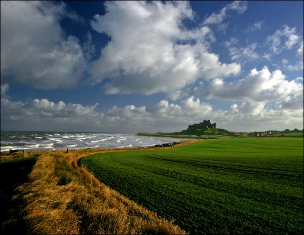Northumbrian Coast   1st Place  Tony Butterworth