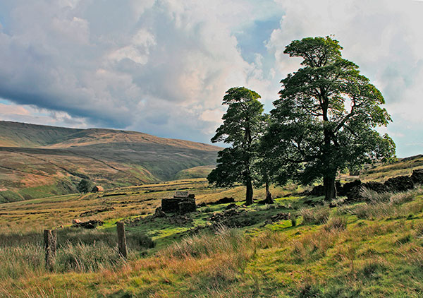 Wessenden Head Moor