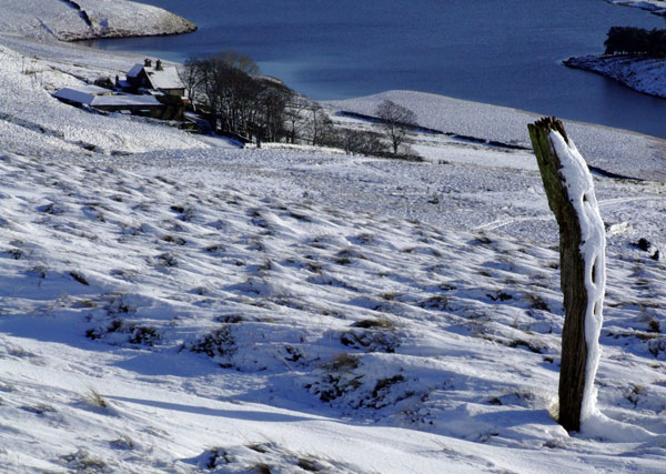 Winscar Farm
