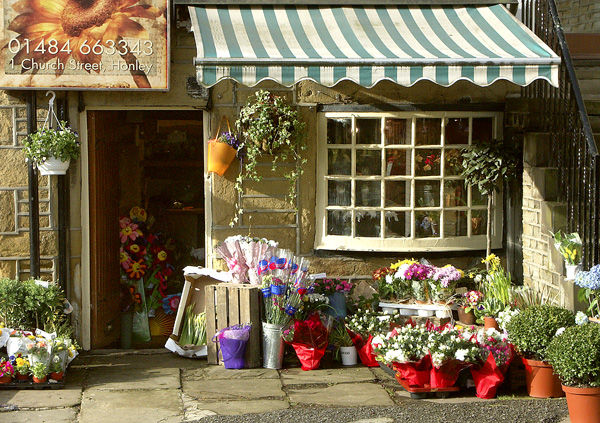 Flower Shop Honleyby Geoff France