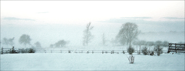 2nd Place - Snow Scene - Author: Gill Sharp