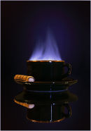 Hot Chocolate (Third Place) Steve Dobrowski