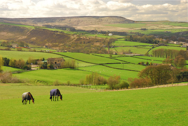 Meltham & Nab