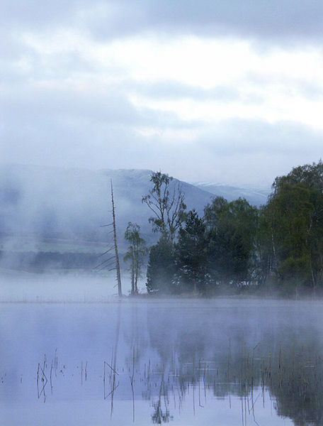 3rd Place - Pityoulish - Aviemore.
Author: Geoff France
