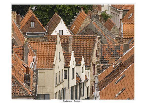 1st Place - Roofscape Bruges
Author: Phil Hack