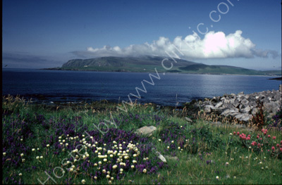 Fitful Head, Mainland, Shetland.