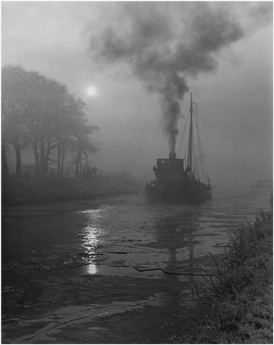 Into The Fog
