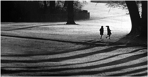 Winter In Linn Park