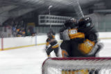 Hockey 02