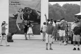 Sightings 13