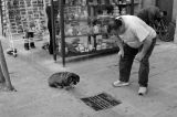 Sightings 26