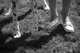 Sightings 34