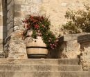 Autumn Colour in Villers-Allerand