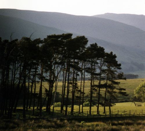 Lakeland Fells