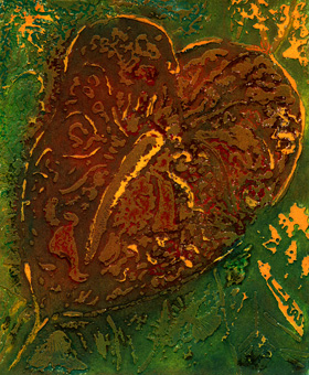 Anthurium series