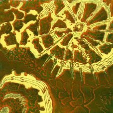 Tapestry