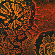 Tapestry 