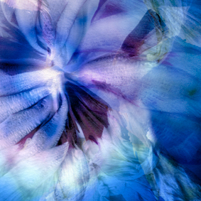 What is an original archival digital print?