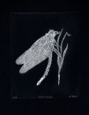 Silver Wings