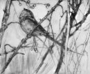 Title: A Tempted Long Tailed Tit