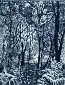 Bracken Edge