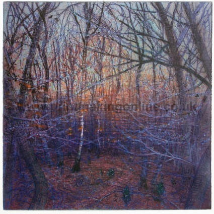 Title: New Year's Day: Dusk, Burnham Beeches