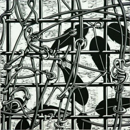 Title: Climbing Clematis
