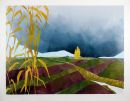 Crops outside Spalding