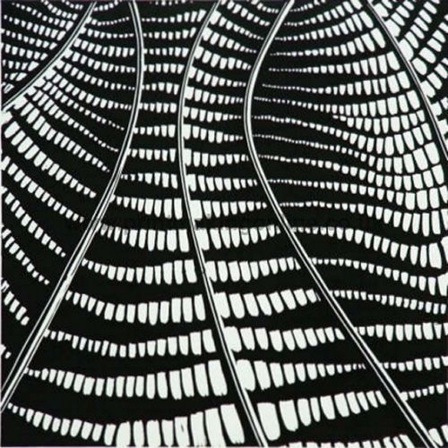 Title: Fern Fan