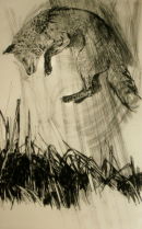 Pouncing Fox