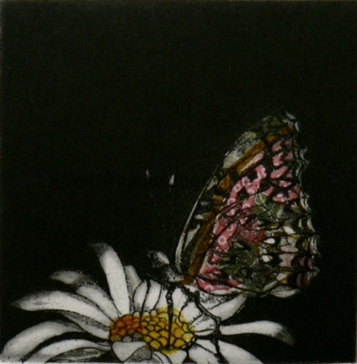 Title: Summer Song