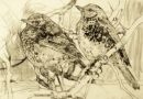 Title: Winter Visitors  