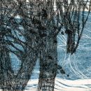 Title: Wood Interior       