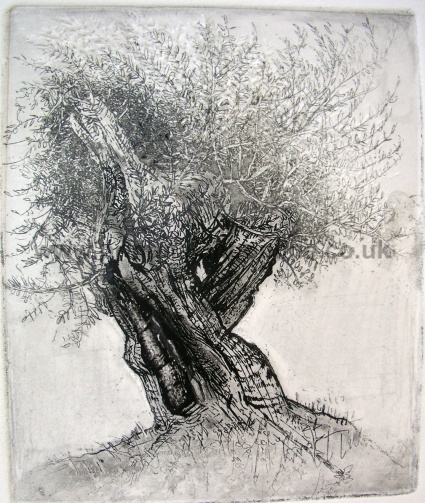 Title: Great Shoals of leaves