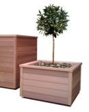 Cedar planter, (w)0.8m x (d)0.8m x (h)0.6m  