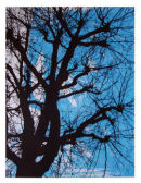 The Sky in Winter