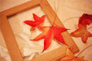 Oak frame 
