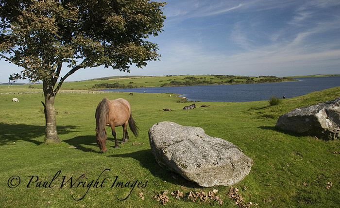 Autumn at Colliford Lake
