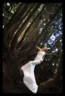 Trash_the_dress_2