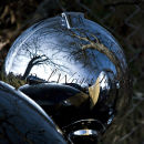 polished chrome