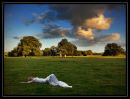 trash the dress 08