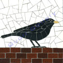 Blackbird