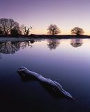 Dawn, Fritham Cross